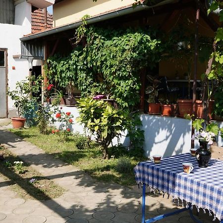 Appartamento Etnobubi Novi Sip Esterno foto